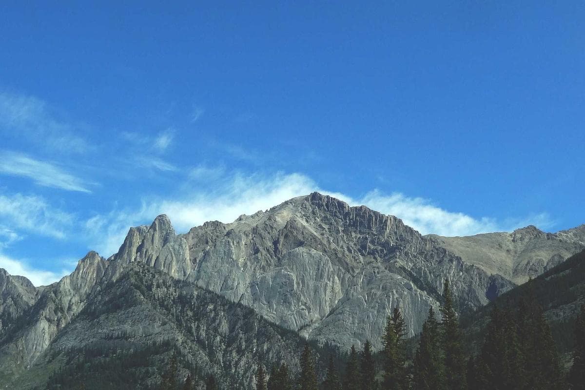 Research and Development (The Nehemiah Generation)